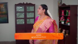 Karthigai Deepam S01 E402 29th February 2024