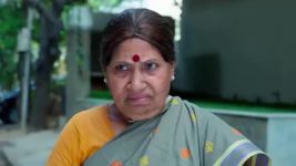 Malli Nindu Jabili S01 E569 Malli, Gowtham are Joyous