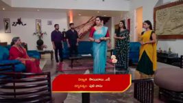 Naga Panchami (Star Maa) S01 E272 Panchami in a Fix