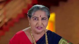 Naga Panchami (Star Maa) S01 E282 Chithra Persuades Bhargav