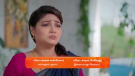 Nala Damayanthi S01 E116 22nd February 2024