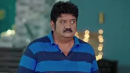 Nuvvu Nenu Prema S01 E549 Padmavathi Requests Vikramaditya