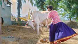 Paaru (Zee Marathi) S01 E04 15th February 2024