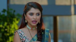 Paaru (Zee Marathi) S01 E08 20th February 2024