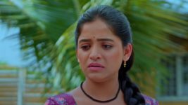 Paaru (Zee Marathi) S01 E09 21st February 2024