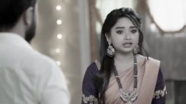 Padamati Sandhyaragam S01 E431 2nd February 2024