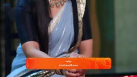 Radhaku Neevera Praanam S01 E229 1st February 2024