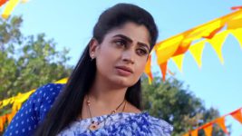 Radhaku Neevera Praanam S01 E236 9th February 2024