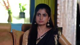 Radhaku Neevera Praanam S01 E240 14th February 2024