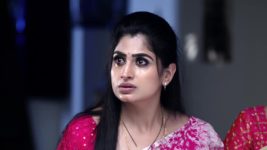 Radhaku Neevera Praanam S01 E244 19th February 2024