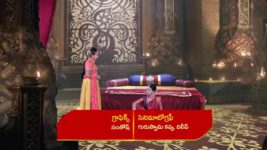 Renuka Yellamma (Star Maa) S01 E292 Saugandhika Cautions Gurupada