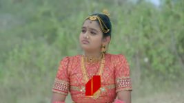 Renuka Yellamma (Star Maa) S01 E293 Renuka Eavesdrops on Saugandhika