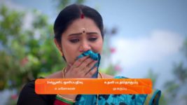 Sandhya Raagam (Tamil) S01 E86 2nd February 2024