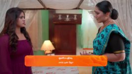 Sandhya Raagam (Tamil) S01 E87 3rd February 2024