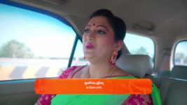 Seetha Ramam S01 E284 15th February 2024