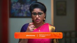 Seetha Ramam S01 E297 1st March 2024