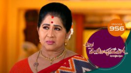 Ala Venkatapuram Lo S01 E956 29th February 2024