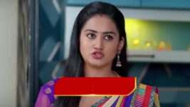 Brahma Mudi S01 E336 Appu's Advice to Anamika