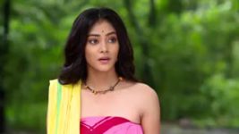 Debi Choudhurani S01E19 Prafulla Saves Her Friend Full Episode