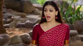 Naga Panchami (Star Maa) S01 E271 Panchami's Request to Karali