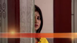 Tumi Asbe Bole S15E166 Nandini to take Rupanjana Back Full Episode