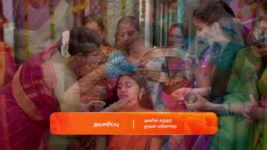 Anna (Tamil) S01 E291 27th March 2024