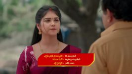 Gunde Ninda Gudi Gantalu S01 E130 Parvathi Reproaches Meena