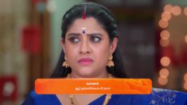 Karthigai Deepam S01 E415 13th March 2024