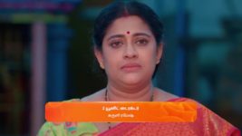 Karthigai Deepam S01 E431 29th March 2024