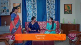 Karthigai Deepam S01 E432 30th March 2024