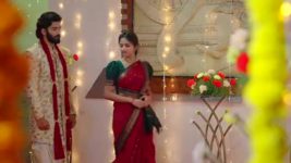 Naga Panchami (Star Maa) S01 E297 Panchami Succumbs to Sorrow