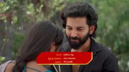 Naga Panchami (Star Maa) S01 E315 Nageswari to the Rescue