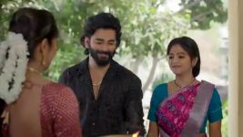 Naga Panchami (Star Maa) S01 E316 Panchami Is Delighted