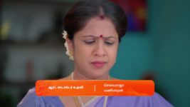 Nala Damayanthi S01 E132 12th March 2024