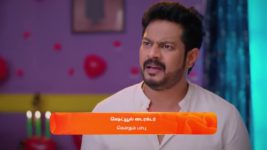 Nala Damayanthi S01 E133 13th March 2024