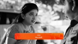 Nindu Noorella Saavasam S01 E183 13th March 2024