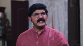 Padamati Sandhyaragam S01 E460 7th March 2024