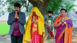 Padamati Sandhyaragam S01 E471 20th March 2024