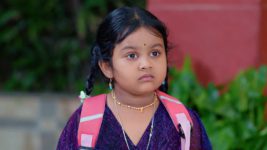 Radhaku Neevera Praanam S01 E271 21st March 2024