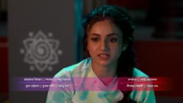 Ram Krishnaa S01 E352 Dol Utsav begins