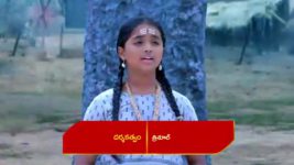 Renuka Yellamma (Star Maa) S01 E299 Yellamma Stands for a Cause