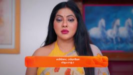 Seetha Ramam S01 E314 21st March 2024