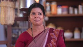 Shreegowri S01 E30 Mangalamma narrowly escapes car accident