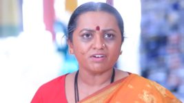 Shreegowri S01 E33 Sharana is all set to disrupt Appu and Gowri