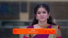 Veera (Zee Tamil) S01 E03 28th February 2024