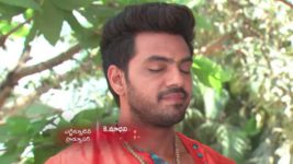 Agni Sakshi S01E117 Lalitha Scolds Gowri Full Episode