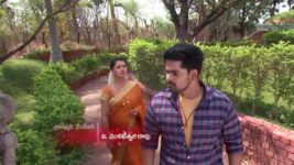 Agni Sakshi S01E137 Siddhu Feels Helpless Full Episode