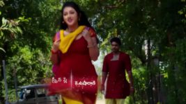 Agni Sakshi S01E19 Gowri Makes up Her Mind Full Episode