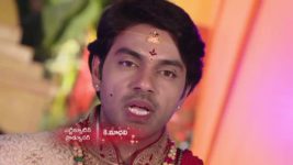 Agni Sakshi S01E26 Shanker Weds Gowri Full Episode