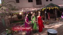 Agni Sakshi S01E38 Gowri Troubles Shanker Full Episode